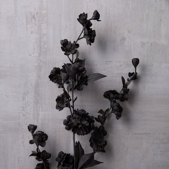 Blossom Spray by Ashland